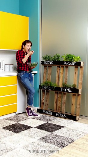Upcycling Old Wood Pallets Into a Stunning Mini Garden 🌱