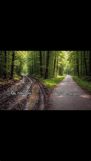 Gl forever #gl #fyp #random #thai #thaigl | thai