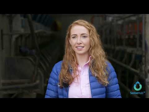 SenseHub - How it works!