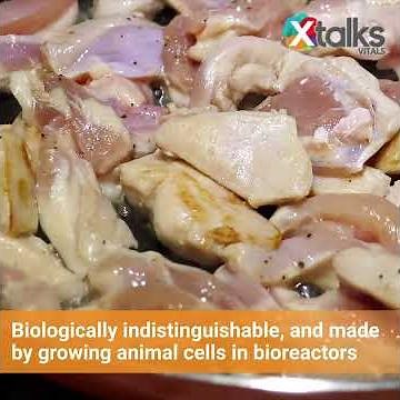 Lab Grown Meat Approved by the FDA