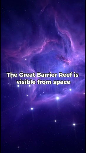 3 Facts That Make The World Feel Strange 🤯 #Shorts | FactNOVA