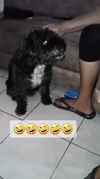 Divertido video de comedia con Mamichela y Patito