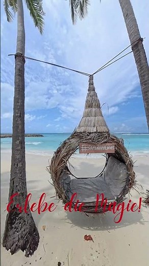 Caribbean Waves, NEW Wave 14 🌴 Tropical Chill Music in a New Style | Relax & Sunset Vibes #short