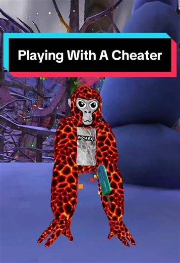 Playing With A Cheater In Gorilla Tag #freetesty #gorillatag #gtag #vr #virtualreality