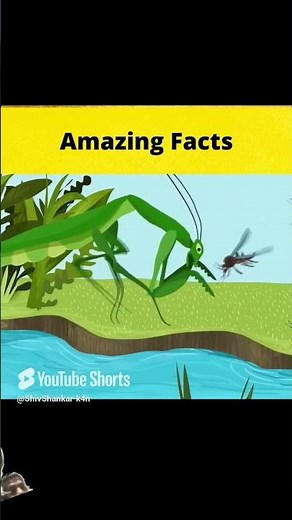 Funny video facts and working science #amazingfacts #facts