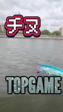 Black porgy top game Tsurumi River #topwater #fishing #Gabots65 #shorts #Tsurumi River sea bass