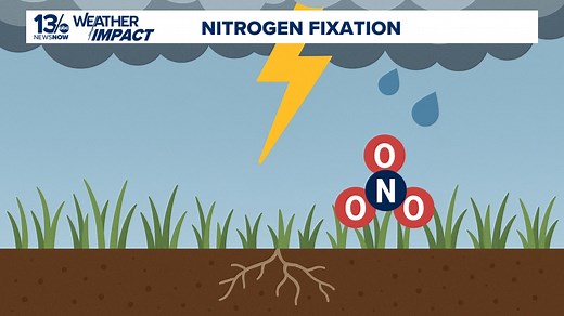 How lightning can help make your grass green