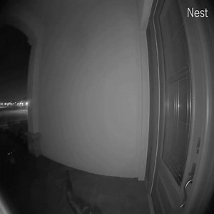 Knock knock… Who’s there? Two alligators fighting at someone’s front door in Naples Florida. 🐊 Matt Devitt WINK Weather #alligator #gator #viral #naplesfl #fl #florida #ehp #mattdevittwinkweather #evergladesholidaypark | Everglades Holiday Park