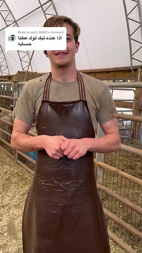 Amish Life in Pennsylvania: Working on the Farm with Horses and Corn