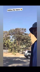 "pachedu, pachedu" Follow Dariusdt | Dariusdt