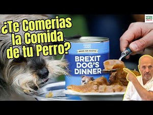 🍽️🐕 ¿TE COMERÍAS LA COMIDA DEL PERRO? 🤢🍖