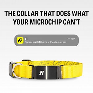 211 reactions · 76 shares | The Fi Series 3 Smart Dog Collar: GPS location tracking, activity & sleep monitoring, 24/7 Lost Dog Mode, and much, much more. Try Fi today. | Fi | Facebook