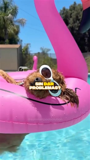 Entonces presta atención… Nuestras piscinas no solo se ven increíbles: están construidas con ingeniería real. Fibra de vidrio de alta resistencia, capas reforzadas y un sistema estructural que protege contra filtraciones, deformaciones y el desgaste del tiempo. Cada detalle está pensado para Panamá: calor, humedad, sol intenso y uso constante. Esto no es una piscina cualquiera… es una obra diseñada para durar y disfrutarse sin preocupaciones. Summer Pool Solution. Tecnología que te respalda, cal