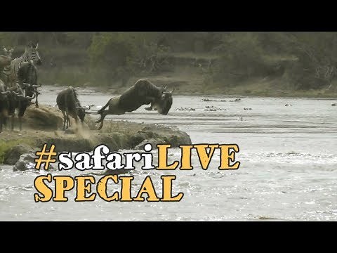 The Mara River - Life and death of The Great Migration.