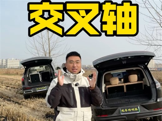 交叉轴可以说是检验一台车的车身安全，车身硬度很好的测试，形变小，能轻松的开关门就代表安全系数更高，车身更硬