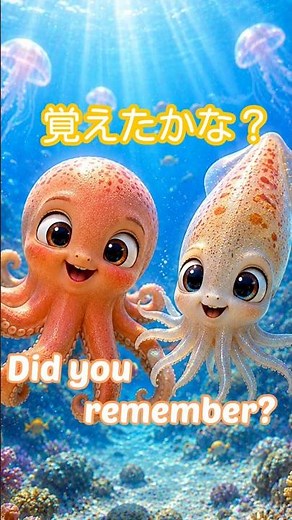 癒されながら英語を覚えよう！ 海の生き物編 #英語学習 #えいごであそぼ #japanese ＃知育