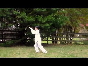 Tai Ji Quan Part 2