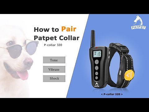 Pair the Dog Training Collar | Patpet 320