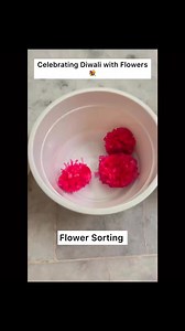 10K views · 82 reactions | Celebrate Diwali With Simple Activities at home || Happy Diwali 2023 to everyone ❤️ #diwali2023 #funfilleddiwali #maninderkaur #blessings #viralreels #kidsactivities #sortingactivity #flowersorting #rangoli #turntaking #pasting #celebratediwali✨ | Blessings | Facebook