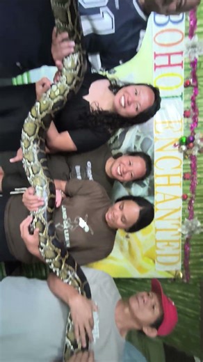 Bohol Enchanted with the python it's scary but fun