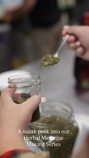 Sneak peek into our herbalism workshops 🌿Our final class of the season is just around the corner: Elderberry, Cough & Medicinal Syrups 🍯Join us on November 8 | 9 AM–12 PM at The Folk Herbalist’s Apothecary (Integrated Health Concepts, Bristol, TN) for a hands-on morning of syrup making, herbal wisdom, and winter wellness prep. You’ll take home elderberry syrup, cough syrup, and your own herbal workbook 💜. Interested in learning more? Visit appalachianalchemy.com/collections/herbalism-workshop