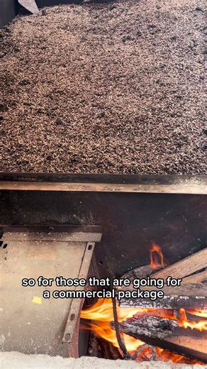 How to Preserve Maggots for Longer Use