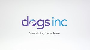 11K views · 197 reactions | Bigger impact, shorter name. Meet Dogs Inc—your invitation to be part of something bigger than just the Southeast or guide dogs. Join us in a future where your support helps more people. Learn more here: https://www.dogsinc.org/updated-name/ Descriptive video for the visually impaired: https://vimeo.com/915651579/0ab23318a4?share=copy | Dogs Inc | Facebook