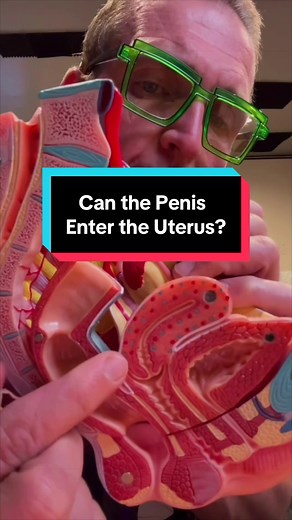 Replying to @Karla Sofia can the male member every enter up into the uterus. No. But there is an asterisk next to that. Let’s talk about it. #anatomy #medical #science