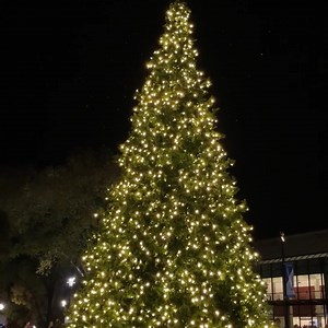 Gather ‘round for Downtown Raleigh’s Annual Tree Lighting, the city's kick-off to the holiday season Friday, Nov. 22!  Watch as the Christmas Tree shines cheer across the city, capture free photos with Santa Claus, shop for presents at the local vendor market, sing along to performances by local artists, and so much more. | Downtown Raleigh Alliance | Facebook