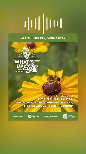 You do not want to miss Episode 14 of our What’s Up, Ely Podcast! Join Lacey in conversation with Bill Teft and Mac Leaf as they discuss Ely’s free, weekly ecological field trips which are facilitated by the Ely Field Naturalists. Bill Teft is a retired Minnesota North Vermilion Campus professor, and Mac recently graduated from Vermilion with a degree in Wilderness & Parks Management. Next we’ll hear from Ian Lah, who will give us an update on the Broadway in the Boundary Waters season. The epis