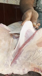 FULL GOAT MEAT CUTTING #GOAT #everyone #trending #foryouシ #food #meat #reels | Meat And Fish Cutting