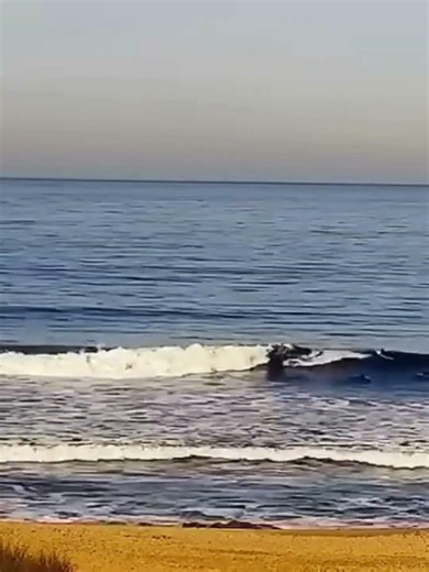 Surf en Bikini, Manantiales - Surfcam en vivo