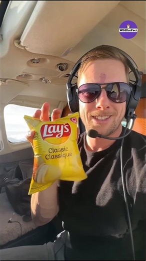 Never Make This Mistake While Open Water Bottle On A Plane #shorts #ytshorts