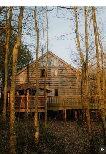 Experience a Transformative Wellness Retreat in Nature