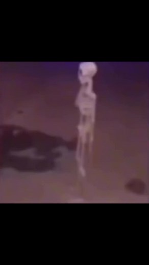 #fypシ #memes #skeleton #dead