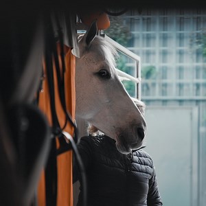 Relive the Saut Hermès 2023, three days of high-level competition, high emotion, and a celebration of the horse at the Grand Palais Éphémère. #SautHermes | Hermès