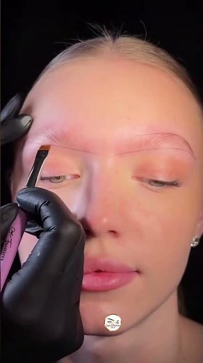 📌Transform Thin, Blonde Eyebrows: Professional Mapping and Pigment Techniques ✨