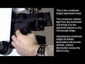 Condenser height adjustment on the Olympus CX31 microscope