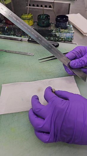 Understanding Kidney Pathology and Biomedical Science