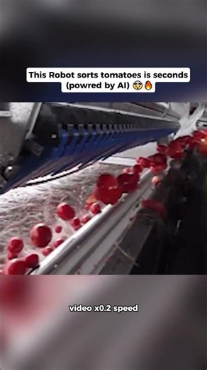 This Machine Sorts Tomatoes with AI Precision 🤯 #shorts