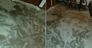 Consumer officials warn of ‘storm chasers’ offering to fix flooding damage