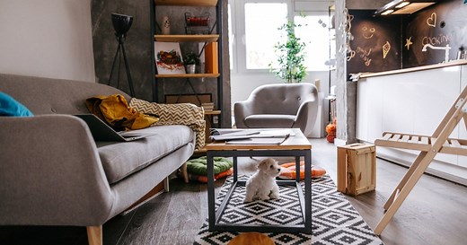 Popular Quiet Dog Breeds: Best Small Dogs for Apartments