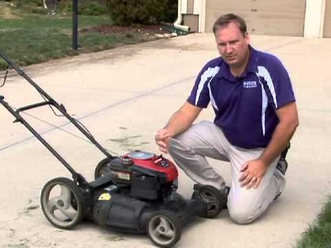 Mow Lawn at Proper Height