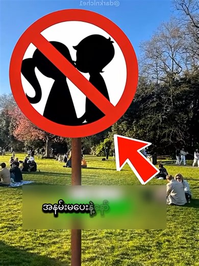 Understanding Park Signage: What Do They Really Mean?