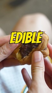 Eating deer meat in Japan’s real Disneyland: An unexpected food adventure