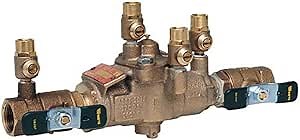 Watts 3/4" Reduced Injection Check/Back Pressure Valve Assembly