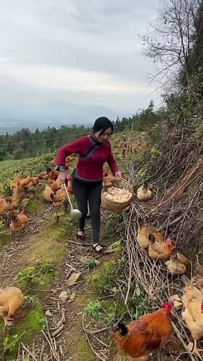 3.3M views · 10K reactions | Let's go on an egg hunting adventure! 讀諸 | Bloom | Facebook