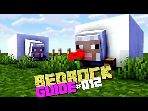 Wie baut man eine automatische Schaffarm in Minecraft | Minecraft Bedrock Guide | LarsLP