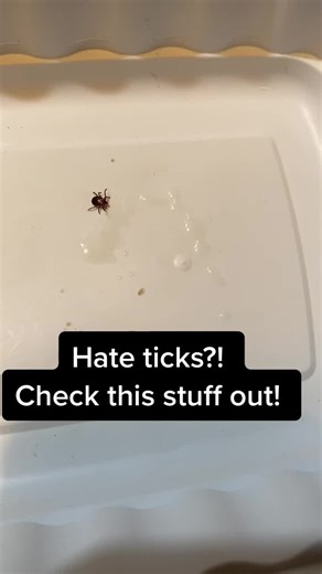 Hate ticks?! Check out all natural insect repellent called BioShield! #fyp #foryou #whatgetsyououtdoors #ticks