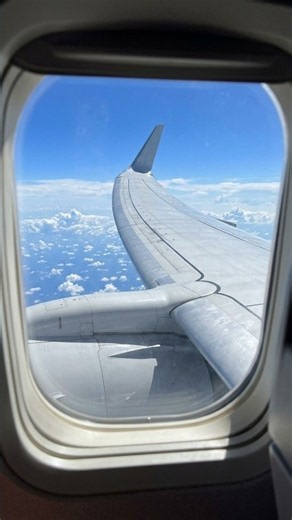 Why airplane wings are designed to bend #science #aviation #shorts